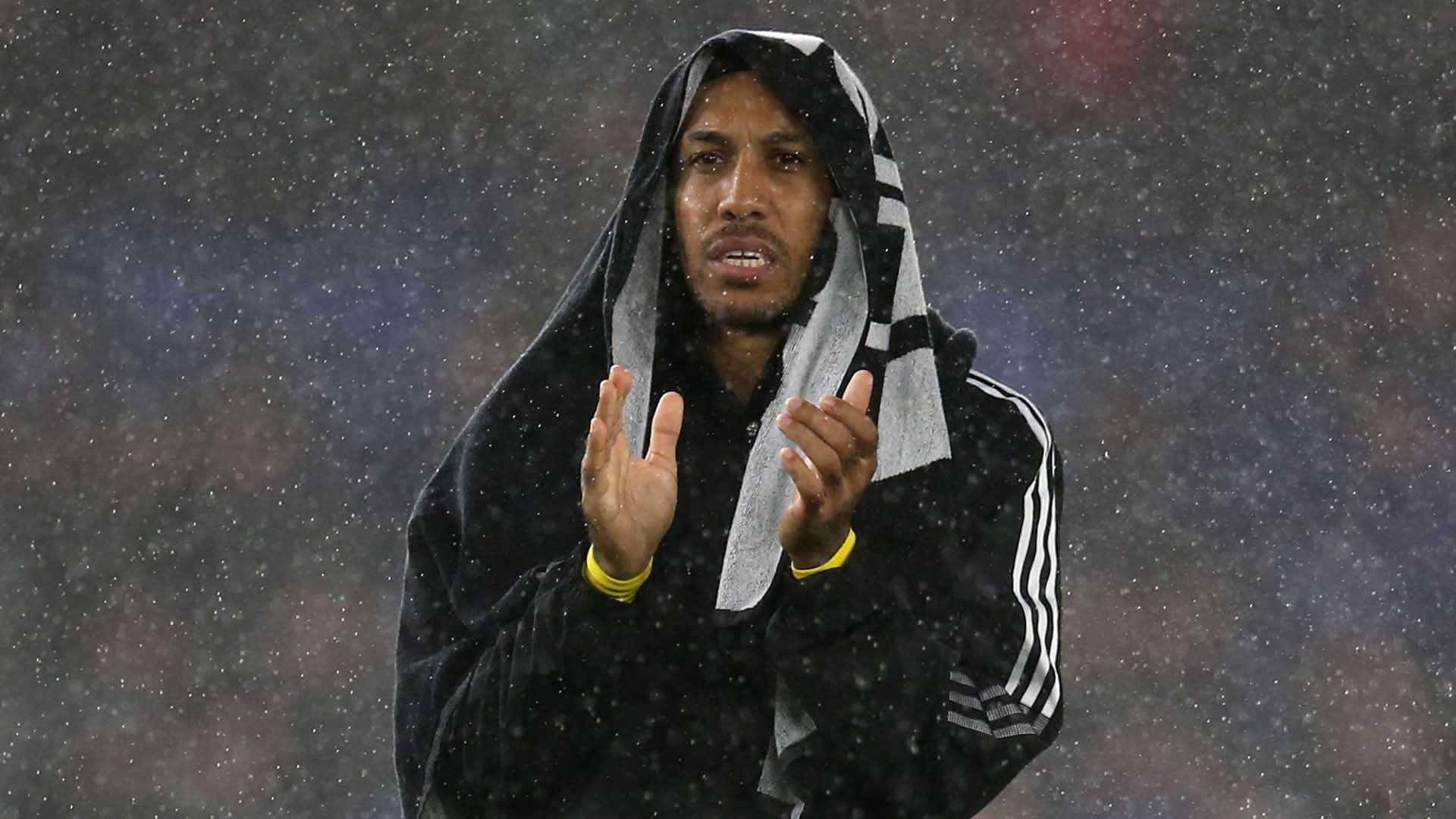 在這方面 在這方面