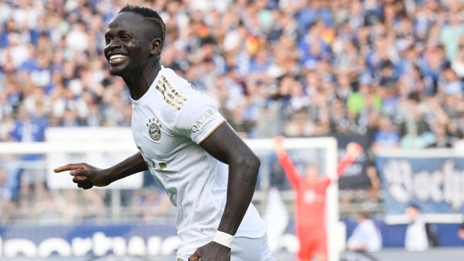 崖边缘的金 崖边缘的金