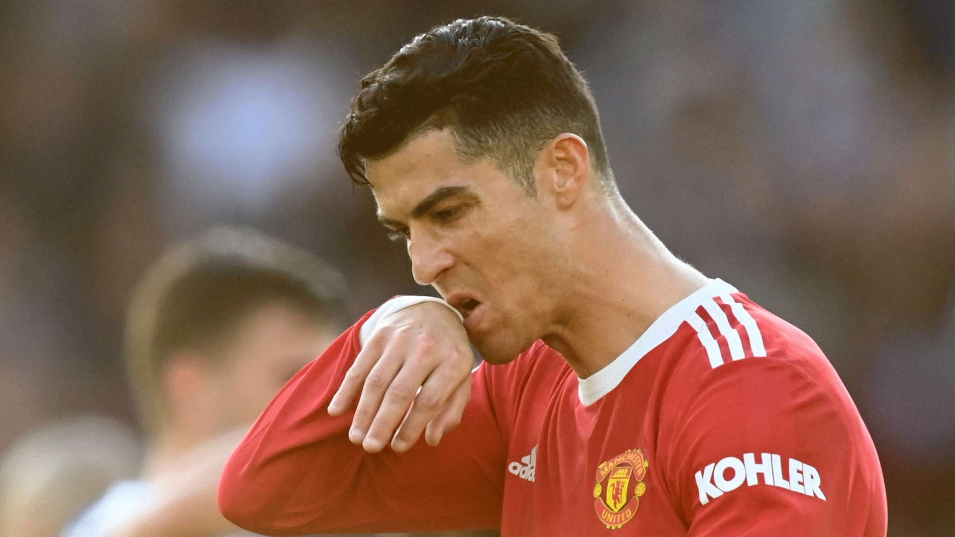 药材质量 药材质量